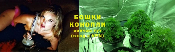 мескалин Ельня