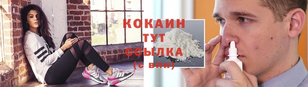 прущие крисы Елизово