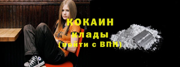 мескалин Ельня