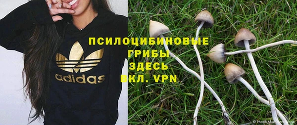 мескалин Ельня