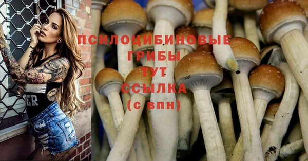 мескалин Ельня