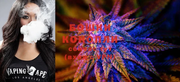 прущие крисы Елизово