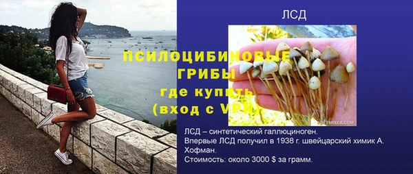 мескалин Ельня