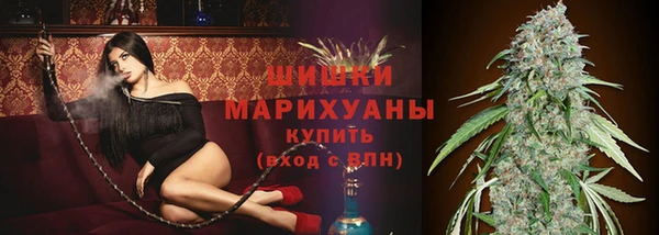 мескалин Ельня