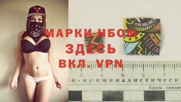 гидропоника Елабуга