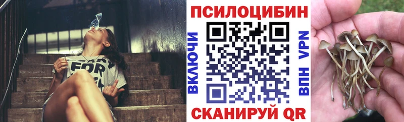 Галлюциногенные грибы GOLDEN TEACHER  Купить где  Новохопёрск 